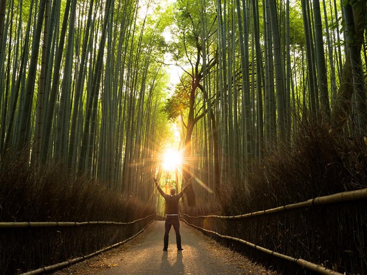 Rừng tre, Kyoto: Từng là nơi nghỉ dưỡng mùa hè của giới thượng lưu Nhật Bản, ngôi làng Arashiyama hấp dẫn dưới chân dãy núi phía tây Kyoto là điểm du lịch quanh năm để mua sắm, ăn uống... Nhưng điểm thu hút chính là khu rừng tre cao vót đung đưa nhẹ nhàng.
