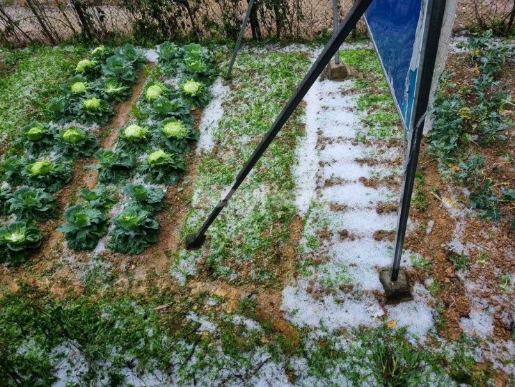 Khu vực miền núi phía Bắc có thể khả năng xảy ra rét đậm, vùng núi có thể rét hại, vùng núi cao có thể xuất hiện băng giá, mưa đá.