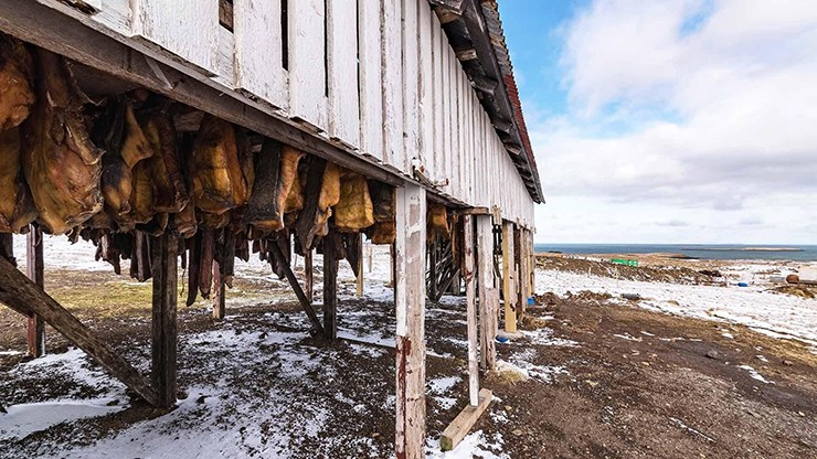 Đến nay, người Iceland vẫn gìn giữ&nbsp;món ăn đặc biệt&nbsp;này qua nhiều thế hệ như một cách nhớ về nguồn gốc.
