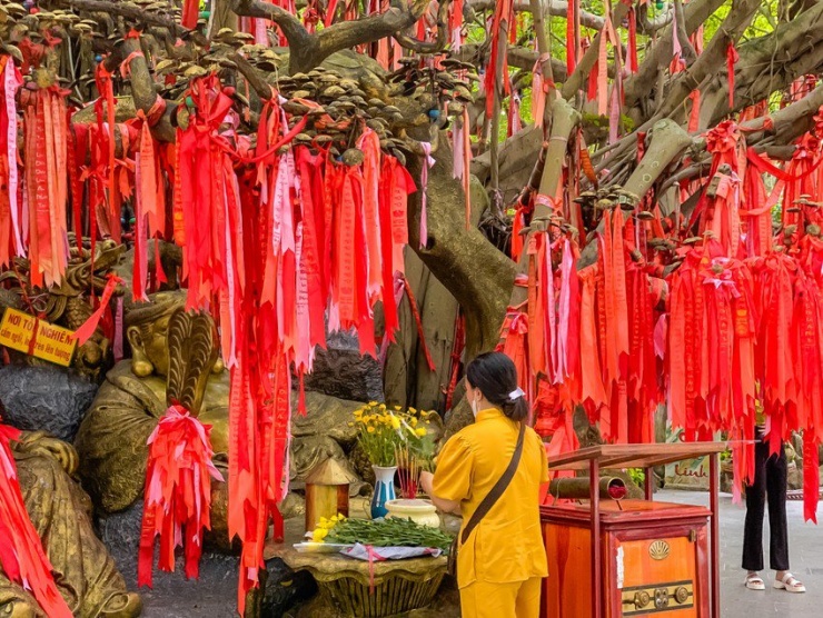 Cây Ước Nguyện càng ngày càng thu hút đông khách tham quan cầu nguyện cho sự may mắn, sức khỏe, tài lộc và cả tình duyên.