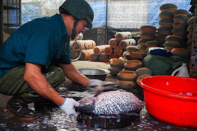 Cá cũng được người dân làng Vũ Đại thu mua về thả trong bể nước ngay tại cơ sở kho cá để đảm bảo luôn tươi ngon