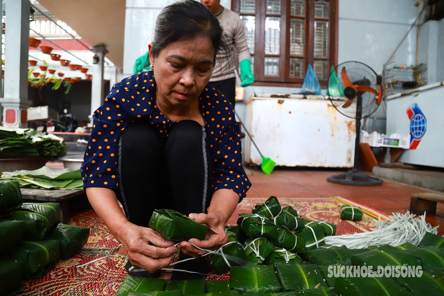 Nếu không tính dịp Tết thì ngày bình thường nhà cô gói từ 300 đến 500 cái/ngày, dịp cận Tết Nguyên đán thì từ 1000 đến 3000 cái, thậm chí đến cả 1 vạn cái. Bởi gói bánh chưng là nghề và phải gói nhanh thì mới kịp phục vụ cho nhu cầu của khách hàng trên cả nước, bà Nguyễn Thị Dạp (63 tuổi, chủ một cơ sở gói bánh chưng) tại làng Tranh Khúc cho biết.