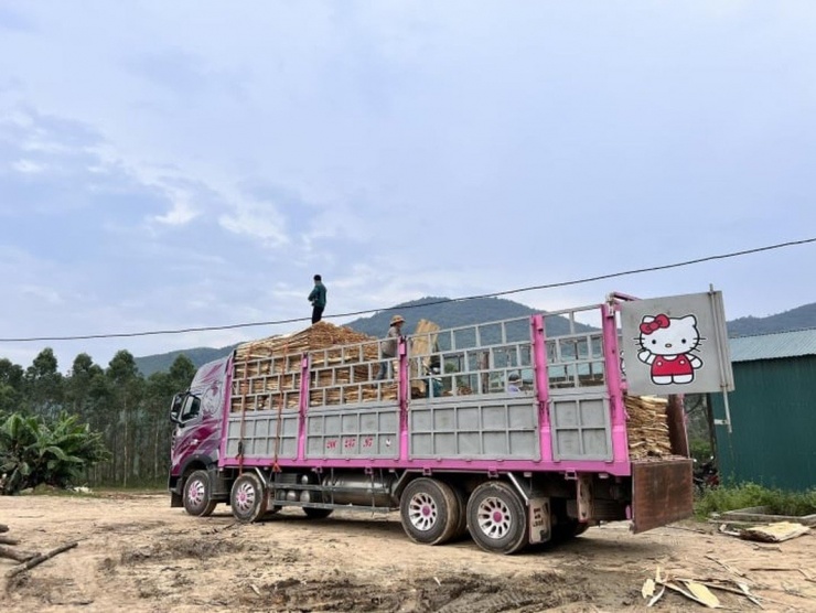 Chủ xe container "hello kitty" gây tai nạn lên tiếng, nguyên nhân bất ngờ - 9