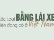 Các loại bằng lái xe hiện nay mà người dân cần biết