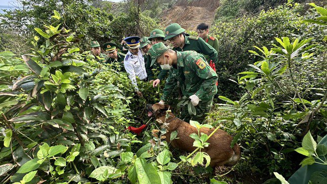 Dùng chó nghiệp vụ tìm kiếm ma túy.