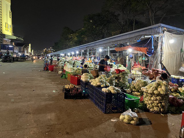 Nhiều quầy hàng rau củ, thịt cá, thủy hải sản trong chợ Bình Điền không còn tấp nập như trước.