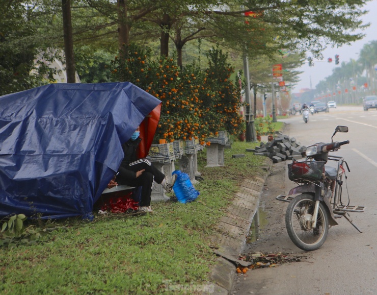 Người bán đào ngồi bên trong chiếc lều dựng tạm tránh rét ngóng khách.