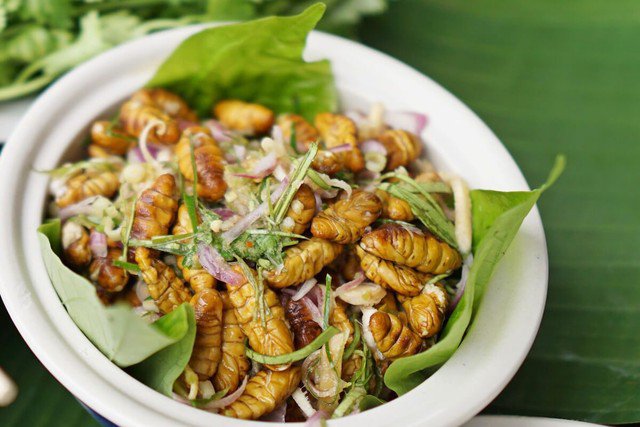 Nhộng tằm ở Việt Nam vẫn là món quen thuộc - Ảnh: Everything Silkworms