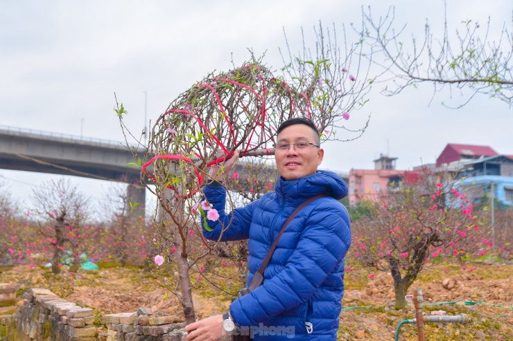 Theo người dân, giá đào hiện tại có cao hơn so với năm ngoái nhưng bù lại thì "hầu hết các nhà vườn đều uốn cành, hoa nở đều và có nhiều nụ", một vị khách tên Nam chia sẻ.