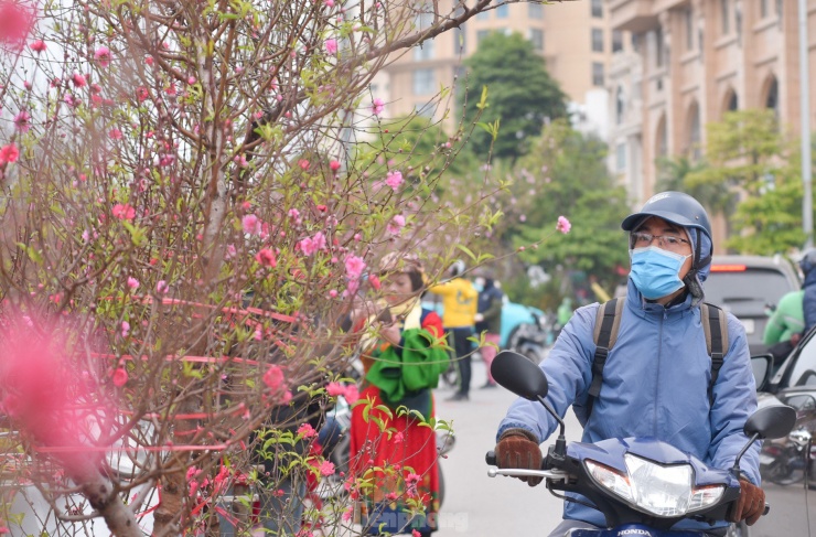 Đào nở rộ khiến ai cũng có thể cảm nhận được Tết đã đến rất gần.