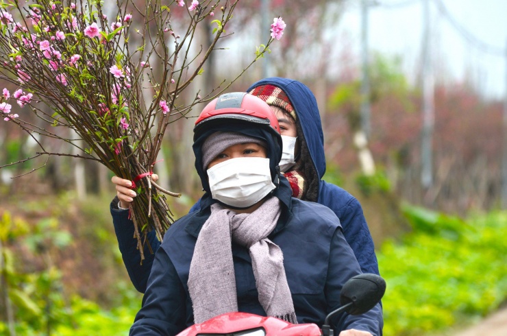 Nhiều người dân thủ đô đến mua lẻ những cành đào về trang trí sớm.