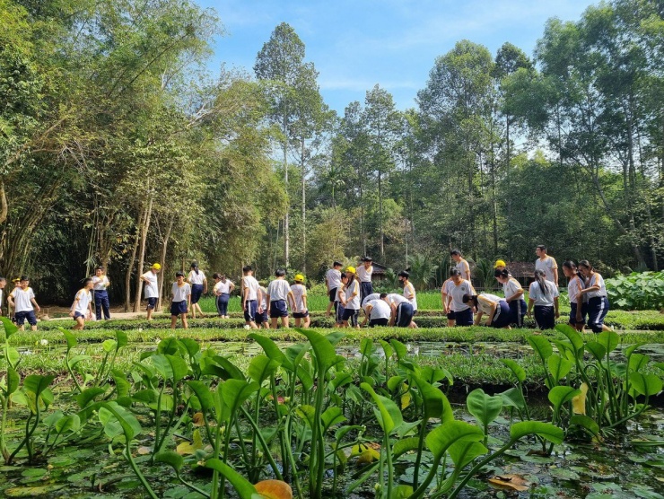 Du khách có thể tham quan và trải nghiệm các mô hình độc đáo như cấy lúa, giã gạo và bắt cá...