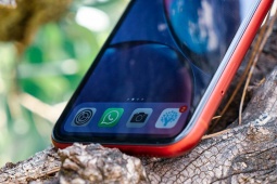 Giá rẻ, liệu iPhone XR còn đáng để mua sắm chào đón năm mới?