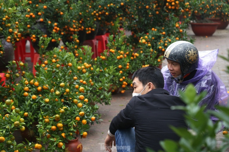 Tết Nguyên đán là dịp mua bán sôi động nhất năm nhưng nhiều tiểu thương như “ngồi trên đống lửa” khi hoa, cây cảnh còn nhiều lại vắng bóng khách mua.