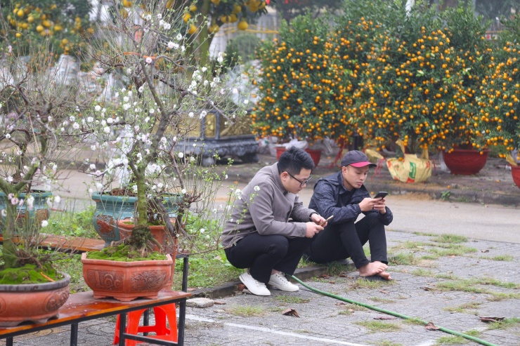 “Tôi dồn hết vốn liếng nhập quất, đào về bán Tết với hy vọng có một cái Tết đầm ấm hơn. Tuy nhiên, dù chỉ còn một tuần nữa là Tết nhưng số lượng cây bán ra rất chậm. Hy vọng vài ngày tới tình hình sẽ khả quan hơn”, anh Phạm Văn Hoàng, tiểu thương bán quất tại Nhà văn hóa lao động tỉnh Nghệ An tâm sự.