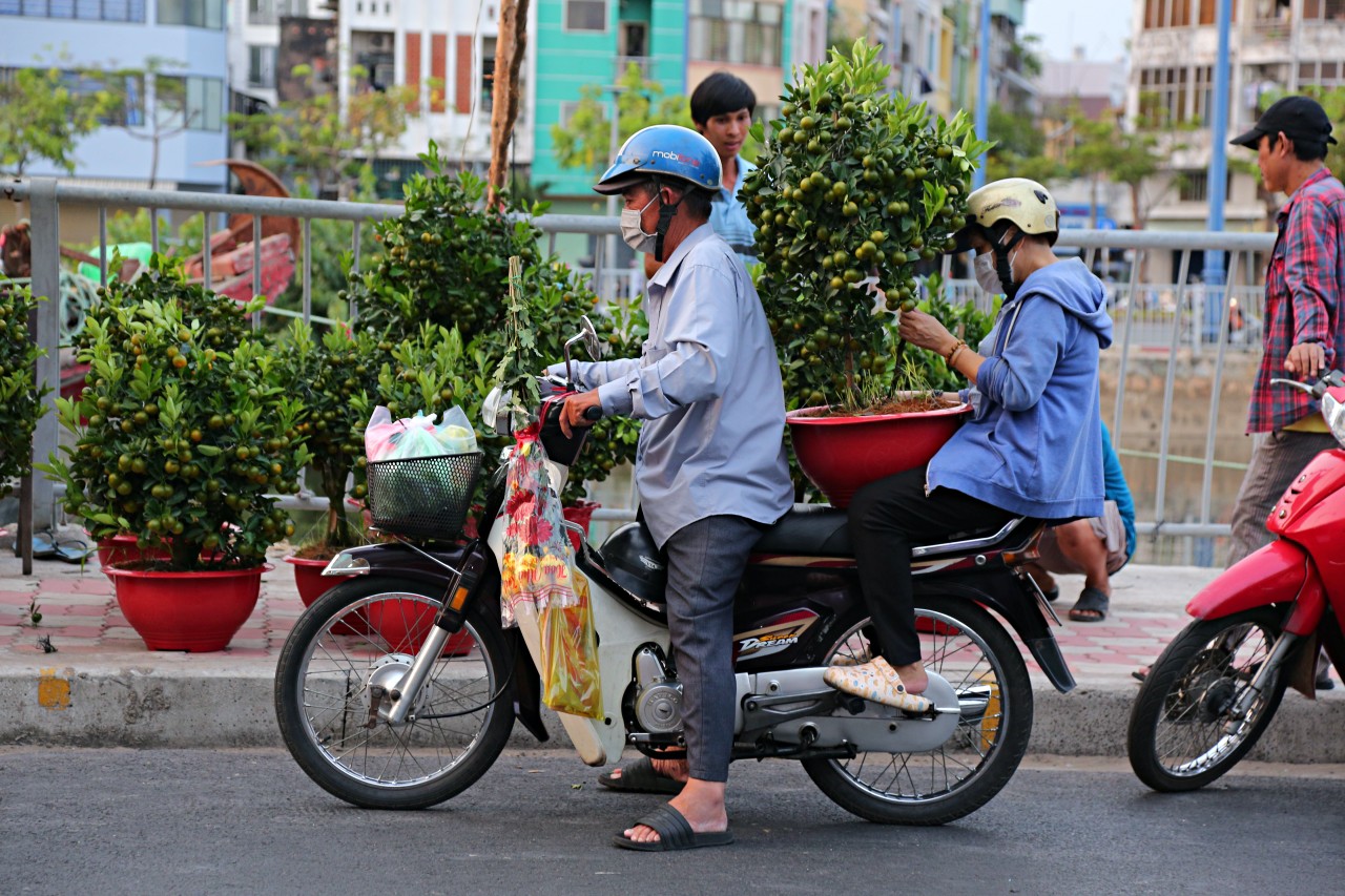 Người đàn ông cùng vợ đến chợ hoa “trên bến dưới thuyền” mua tắc về chưng Tết sớm.