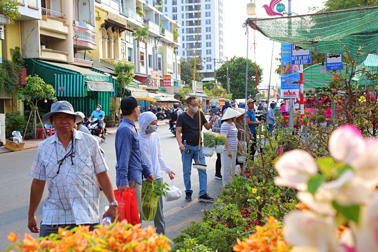 Người dân tấp nập đi mua hoa về trang trí Tết sớm. Trong đó, những chậu hoa nhỏ với giá từ 100.000 - 300.000 được khách hàng lựa chọn với số lượng nhiều để về tặng người thân, trang trí nhà cửa hoặc viếng mộ.