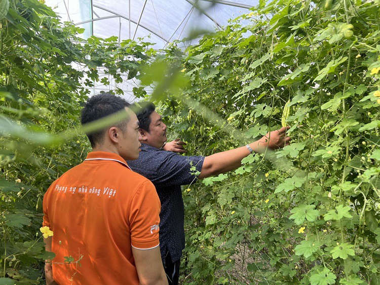 Hàng nghìn nhà sản xuất nông nghiệp đã sử dụng sản phẩm xơ dừa để trồng trọt.