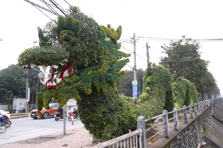 Nhiều người nhận xét, rồng nhìn có thần thái hơn.