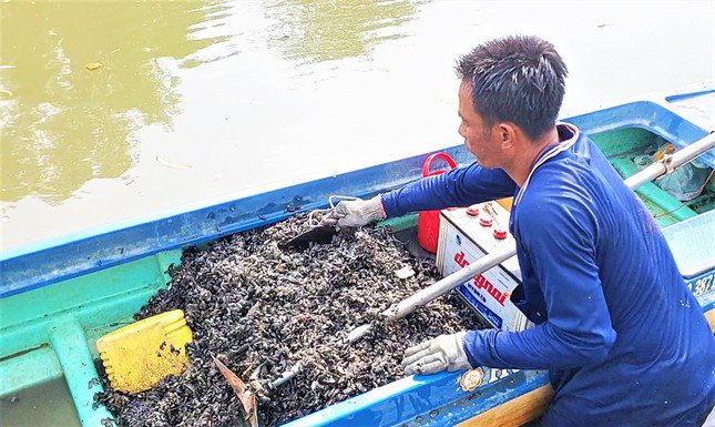 Trung bình mỗi ngày, anh Nghi phải trầm mình dưới nước hơn 6 giờ để lặn mò con hai mảnh