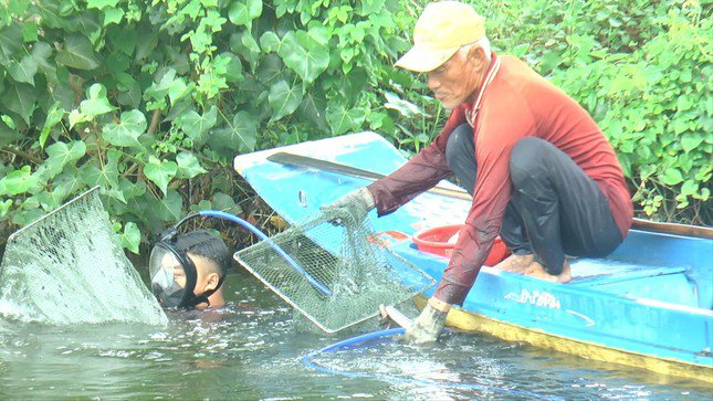 Ông Rị cùng cháu ngoại có thể kiếm được hơn một triệu đồng từ khi trang bị máy chạy ô-xy và mặt nạ có kính lặn