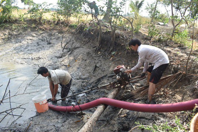 Tát đìa hiện nay thuận tiện hơn nhờ có máy và dụng cụ bơm nước.