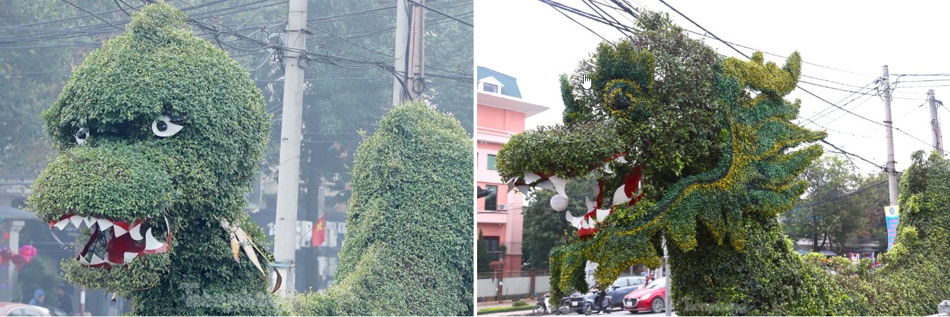 Trước đó, hình ảnh hai con rồng bằng cây xanh đặt tại cửa ngõ vào trung tâm TP Vinh đăng tải trên mạng xã hội đã nhận được nhiều ý kiến trái chiều. Người khen rồng được tạo dáng cầu kỳ từ các cây xanh. Có người lại cho rằng, hàng cây không giống rồng. Thậm chí, một số người còn ví hai cây cảnh hình rồng này trông giống con lươn... Trong ảnh là hình ảnh con rồng trước và sau khi được chỉnh sửa.