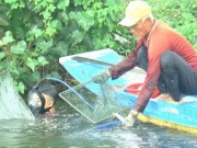 Sống ở đáy sông - bài cuối: Ăn trên bờ, sống đáy sông