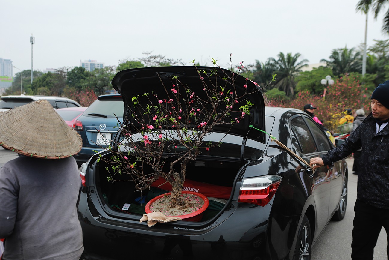 “Nay tôi mới có thời gian đi mua đào về chơi Tết do công việc bận, mua được cây đào với giá 500 nghìn đồng, rất ưng ý về dáng, hoa, nụ và cả về giá”, người mua đào chia sẻ.