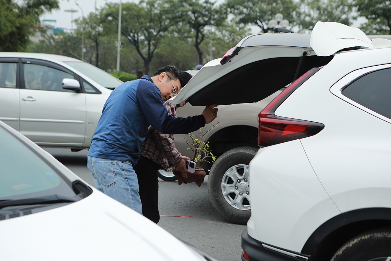 Một cây mai vàng nhỏ được đặt vào cốp sau xe 7 chỗ.