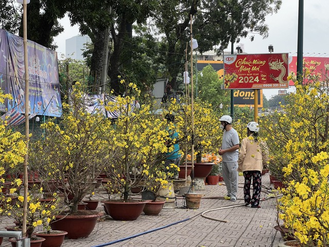 Người dân TP HCM làm gì trước đêm giao thừa đặc biệt, gần 1 thập kỷ nữa mới có? - 2