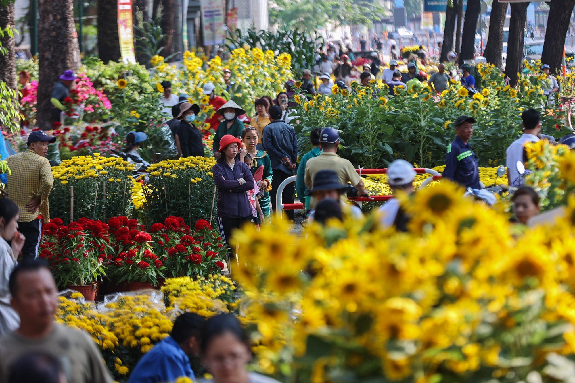 Trưa 9/2 (30 tháng Chạp), người dân đổ về các chợ hoa trên địa bàn thành phố Hồ Chí Minh để mua hoa về trưng Tết. Tại chợ hoa công viên 23/9 (quận 1) thời điểm trước khi phải đóng cửa trả mặt bằng, tấp nập người mua bán.