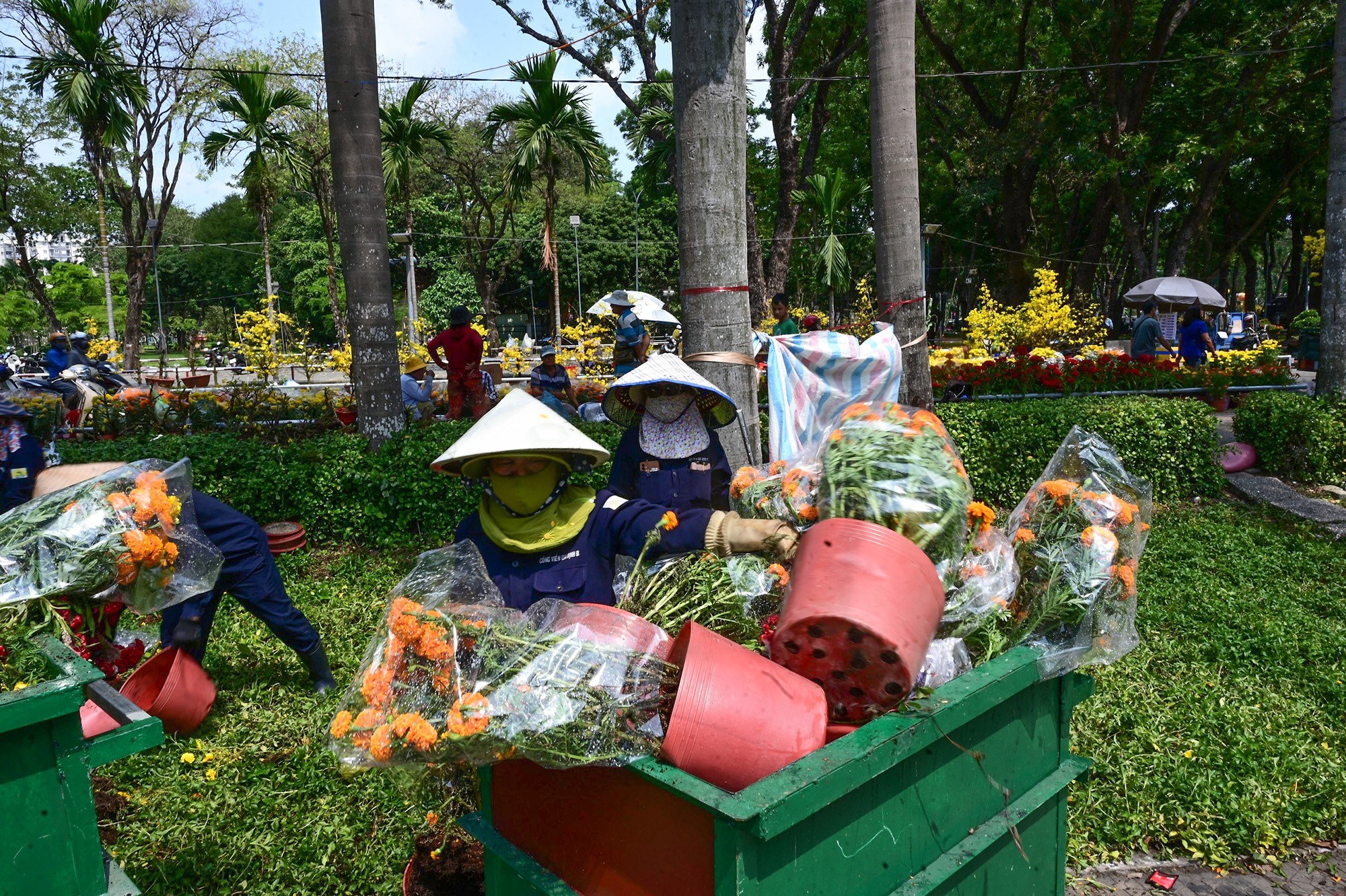 Nhân viên công ty công viên cây xanh thu gom từng xe hoa kiểng, dọn dẹp công viên trước thời điểm bước sang năm mới.