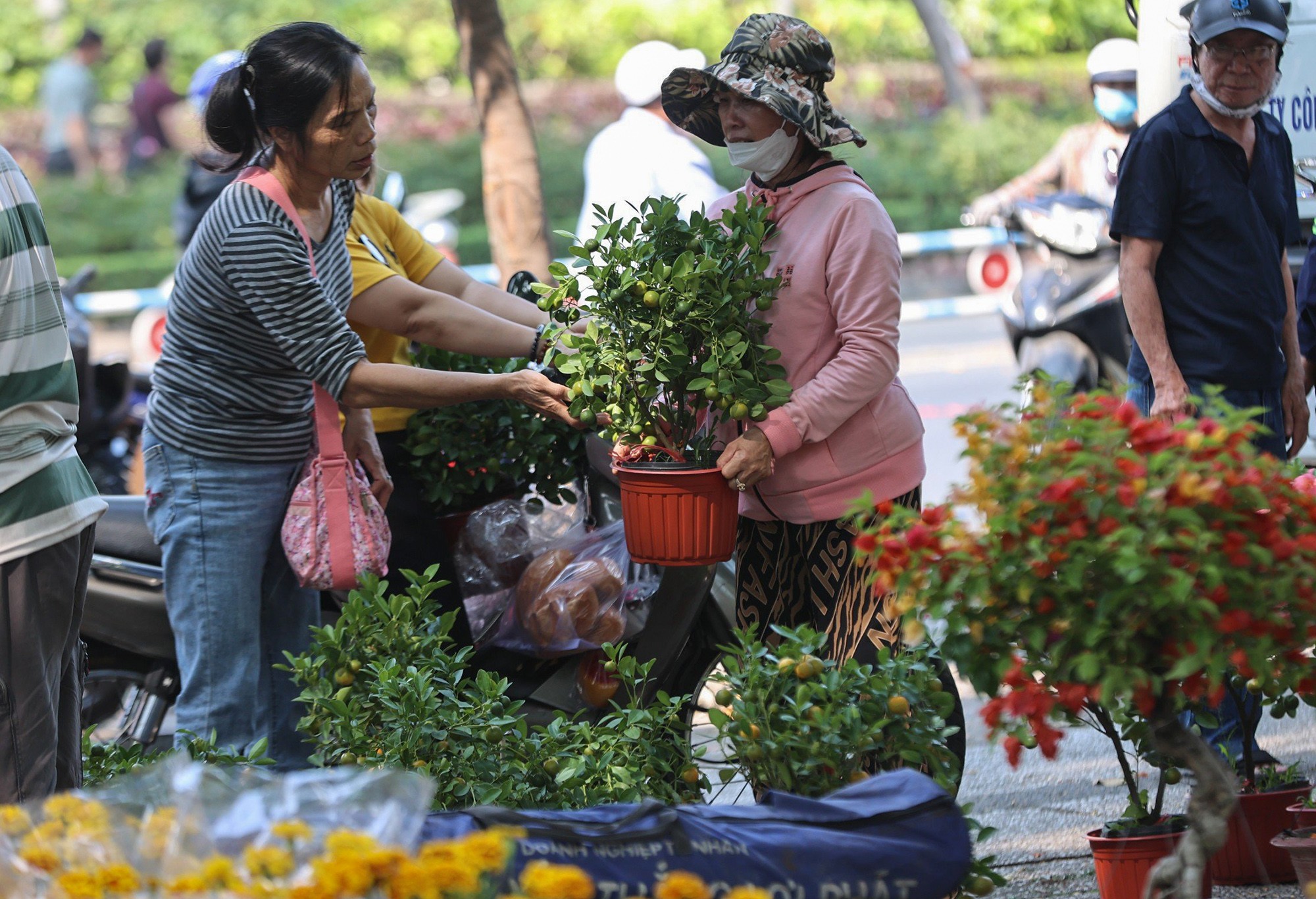 Thời điểm này, các tiểu thương vẫn cố bám trụ, phải xả hàng và cũng là lúc người dân dễ dàng mua được những chậu hoa kiểng giá rẻ như cho. Nhiều loại hoa kiểng nhỏ như quất chậu nhỏ, cúc, vạn thọ, hướng dương… hút người mua khi tiểu thương xả hàng bán chỉ còn vài chục nghìn đồng/chậu.