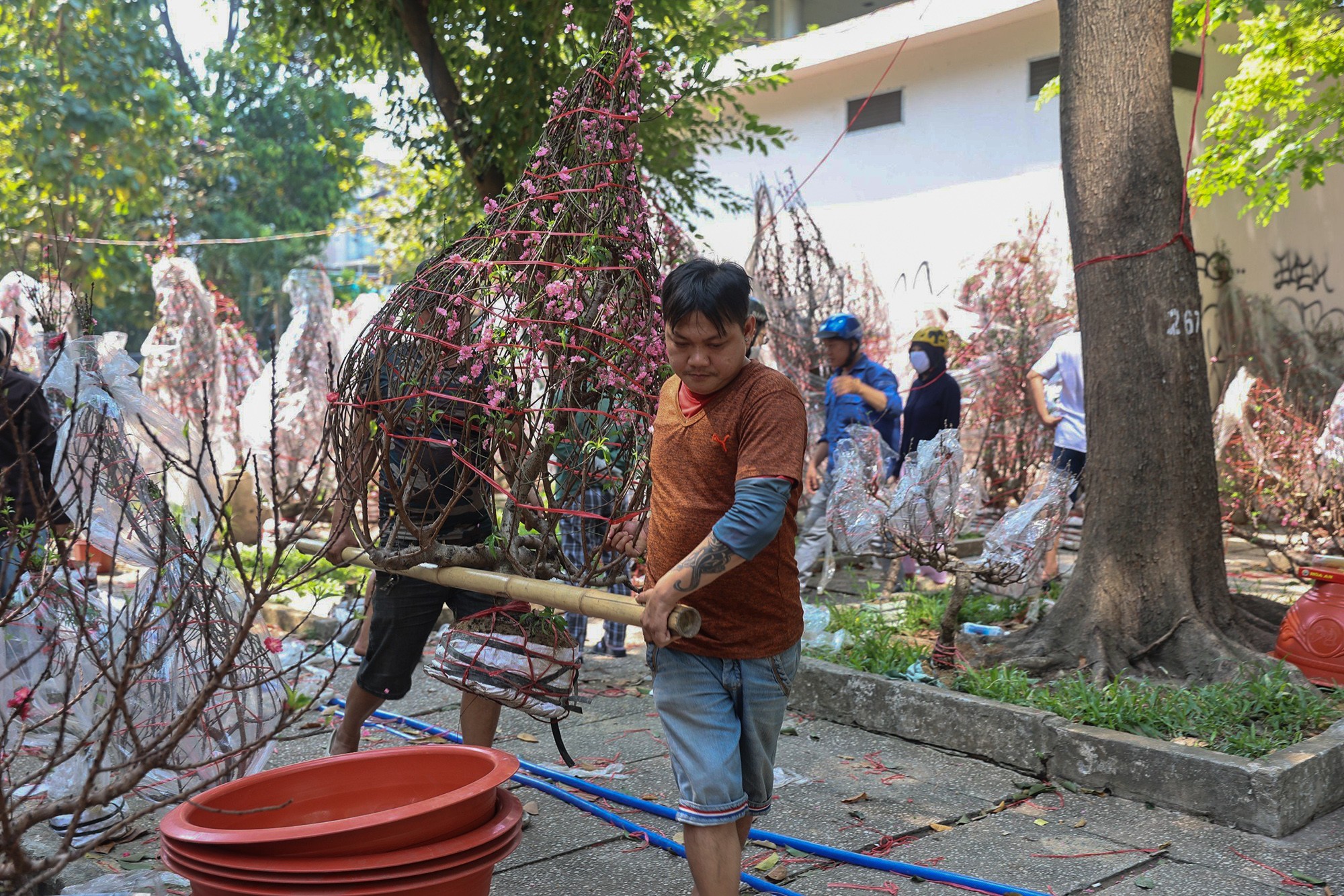 Trưa 30 Tết, hoa kiểng bị vứt bỏ hàng loạt ở TP.HCM - 5