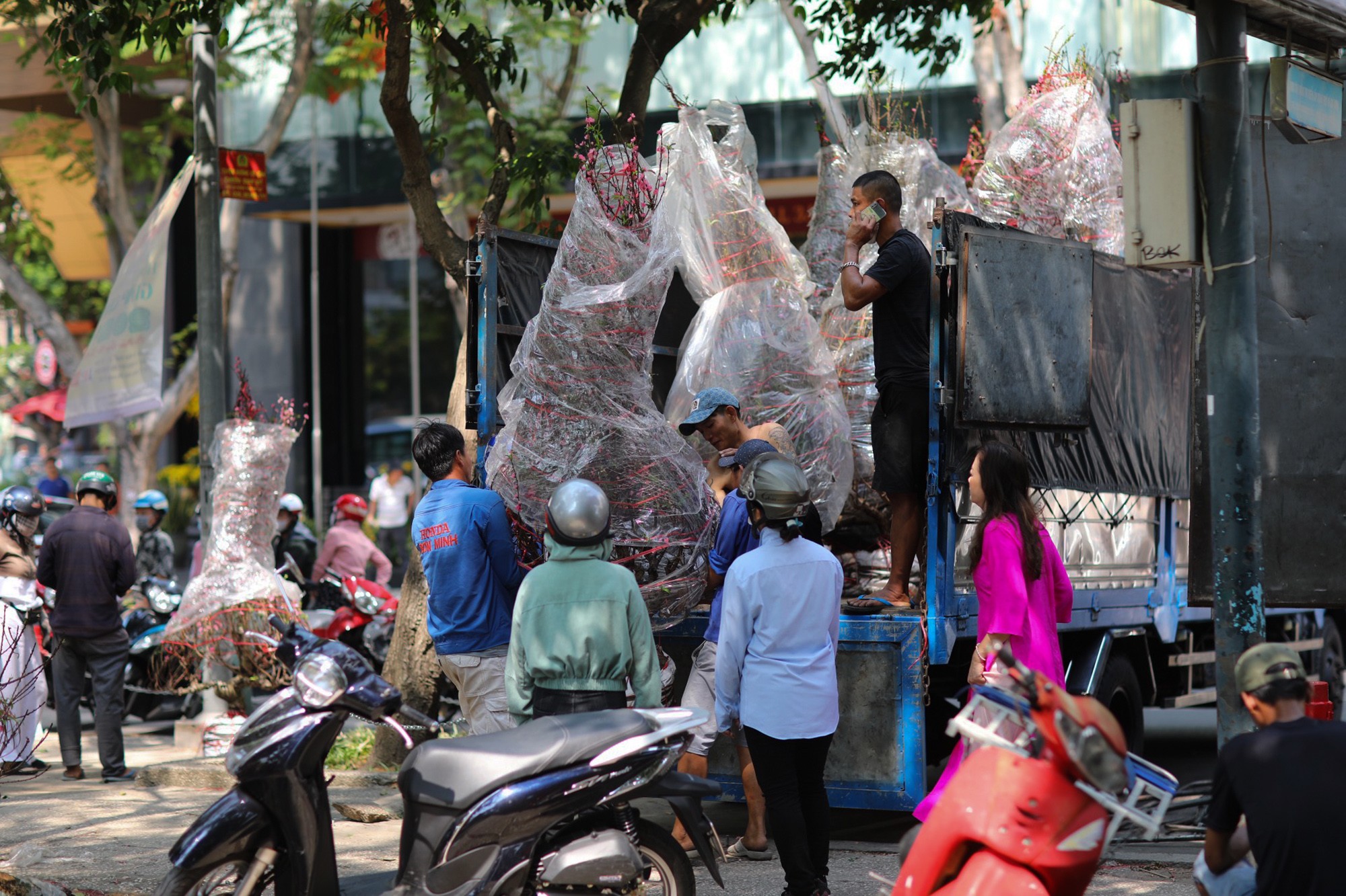 Thời điểm trước khi chợ hoa đóng cửa hơn 1 tiếng đồng hồ, nhiều tiểu thương phải vận chuyển đào ra một khu vực bên góc công viên để bán vớt hoặc thuê xe chuyển đi nơi khác tìm chỗ bán gỡ vốn.