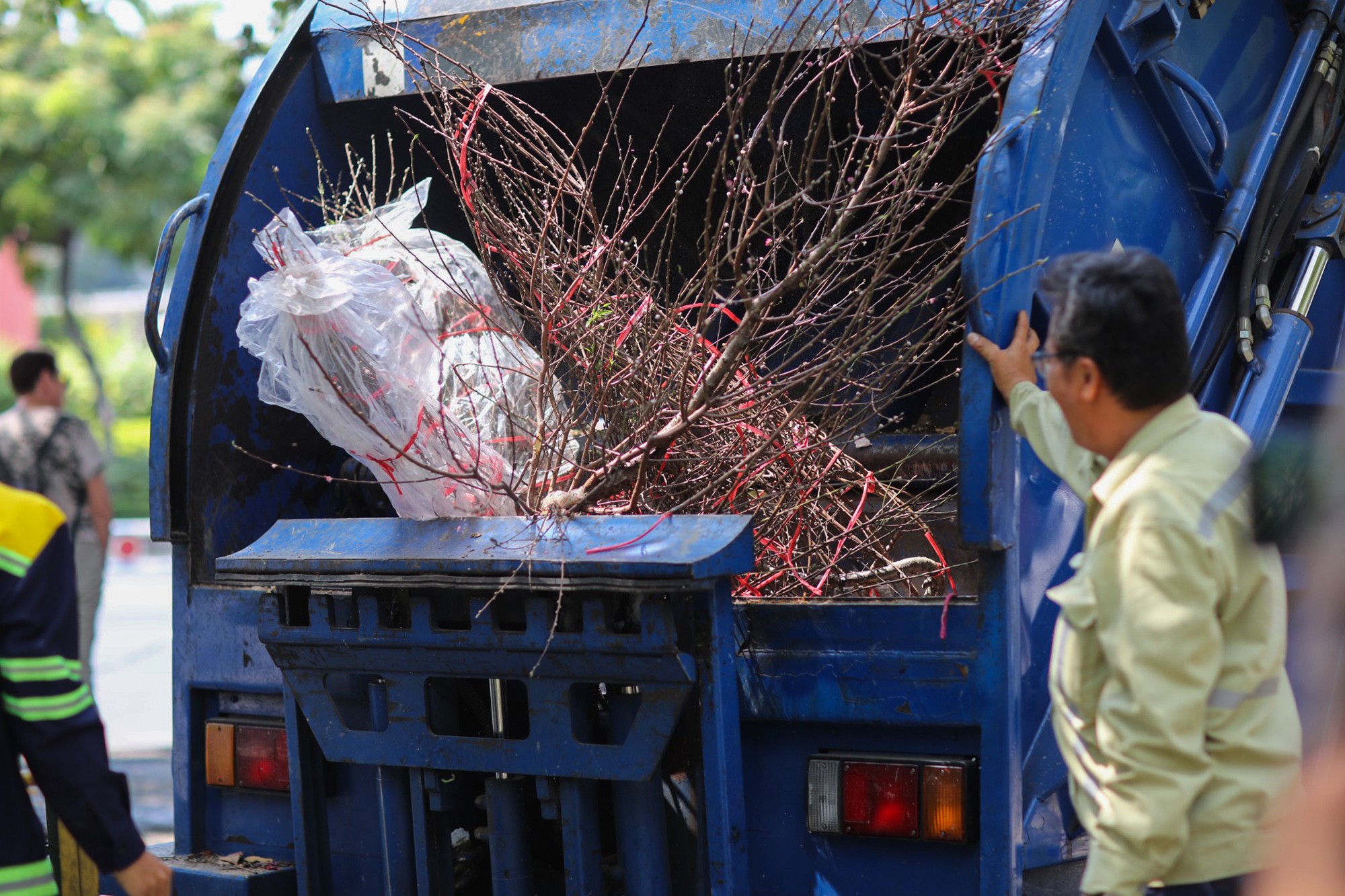 Những chậu đào thời điểm những ngày trước có giá trên dưới 1 triệu đồng nay tiểu thương phải ngậm ngùi vứt bỏ, cho vào xe ép rác. “Đào khó giữ lại để đưa về vườn trồng tiếp do tốn chi phí nên đành phải vứt bỏ”, một tiểu thương ngậm ngùi cho biết.