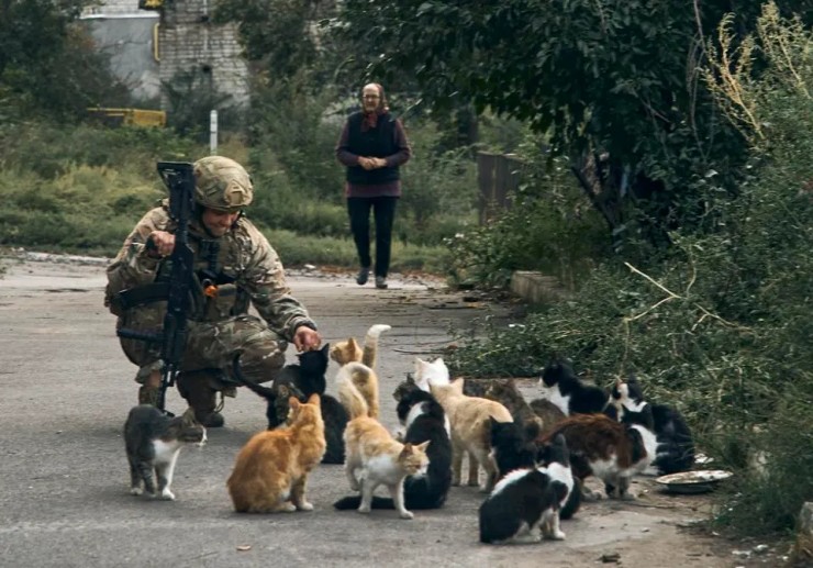 Binh sĩ Ukraine cho mèo ăn tại một ngôi làng ở tỉnh Kharkiv. Ảnh: AP
