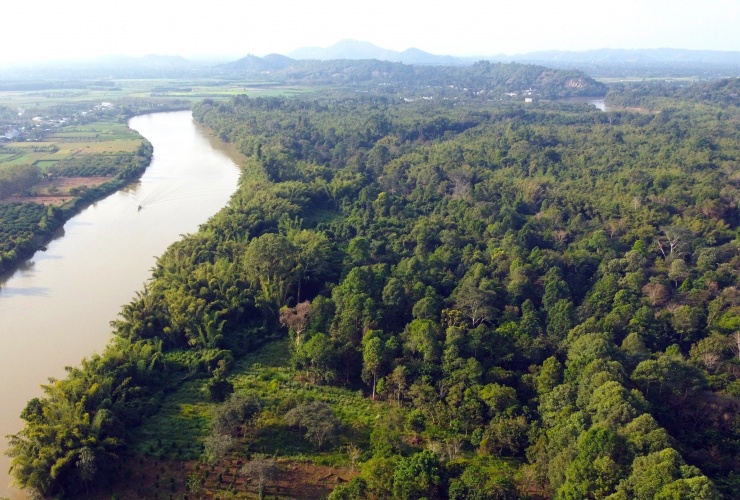 Vườn quốc gia (VQG) Cát Tiên với diện tích 71.187,9ha, nằm trên địa bàn 3 tỉnh Đồng Nai, Lâm Đồng và Bình Phước. Nơi đây có khoảng 1.730 loài động vật và 1.655 loài thực vật. VQG này được công nhận là Khu Dự trữ sinh quyển thế giới, Khu Ramsar quốc tế và Khu di tích quốc gia đặc biệt.