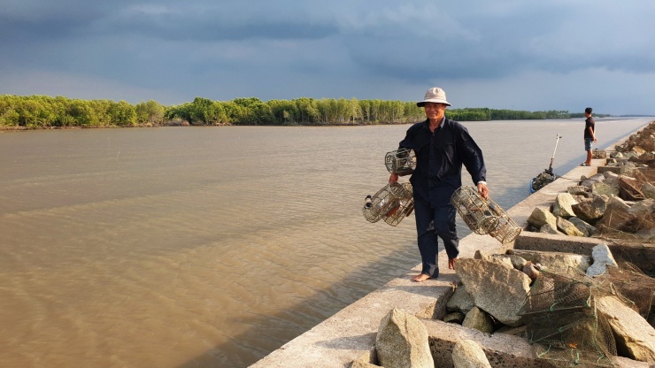 Đều đặn mỗi ngày, khoảng 15h hàng ngày, vợ chồng ông Hai Sồi bắt đầu ra quân để đi săn cua đá. Dụng cụ chính là những cái rập đặt cua có kèm thêm gạch đá để ổn định rập. Mồi dụ cua chính là các loài cá tạp.