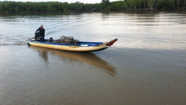 Nhờ nghề săn con cua đá mà ông Hai Sồi đã nuôi được 7 người con ăn học, cất được nhà cửa và có đến 3 người con của ông quay lại làm nghề săn cua như cha mình.