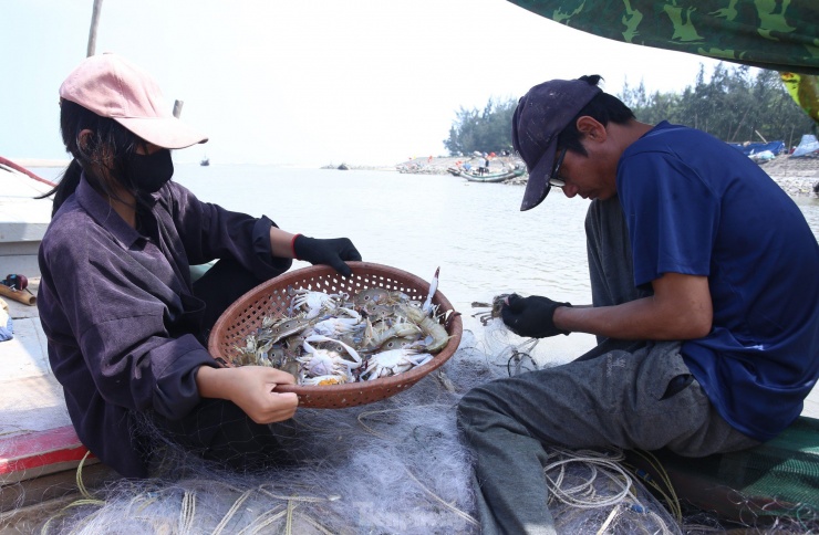 Tại xã Thịnh Lộc (huyện Lộc Hà) và xã Xuân Yên (huyện Nghi Xuân), ngư dân ra vùng biển cách bờ 1-2 hải lý, đánh bắt cá ghẹ, cá trích.