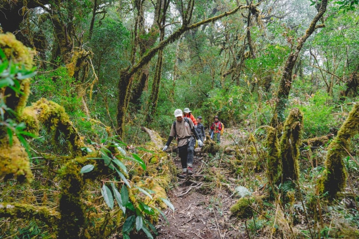 Chuyến trekking đáng nhớ.