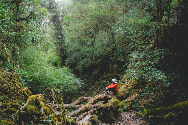 Chuyến trekking ở Tây Bắc.