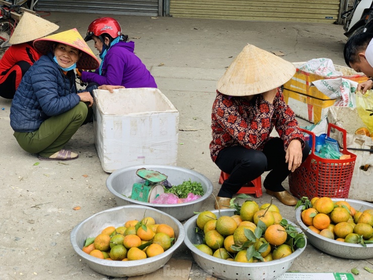 Tranh thủ thời điểm lượng người mua làm quà sau Tết nhiều, người dân thu hái cả ngày để mang ra các con đường để bán cam.