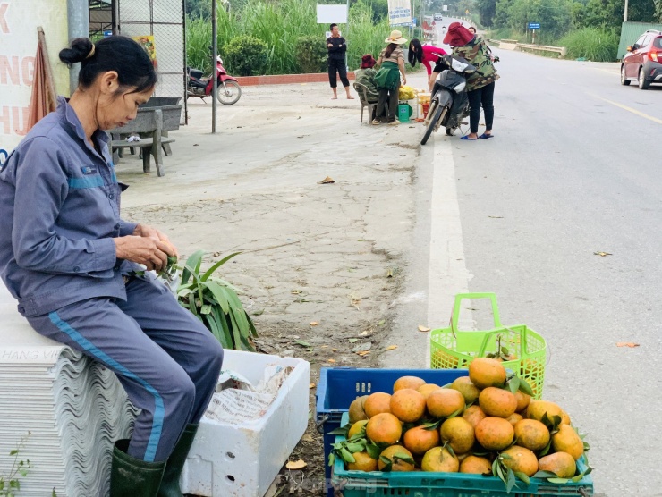 Theo bà Nguyễn Thị An (trú xã Sơn Trường, huyện Hương Sơn), năm nay cam giá cao hơn với những năm trước. Hiện tại giá dao động từ 30-60 ngàn đồng/kg. Thời điểm trong Tết giá cam đẹp nhất trên 70 ngàn đồng/kg.