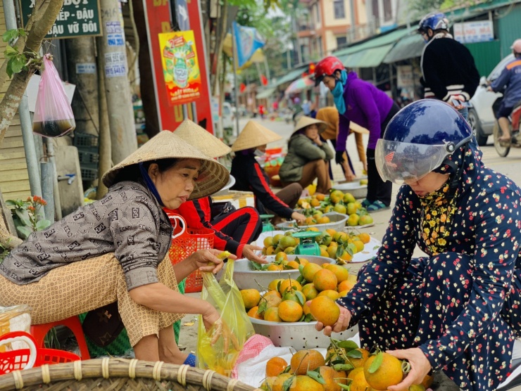 Sau Tết, lượng người mua cam làm quà biếu tăng nhiều, dù cam giá cao nhưng lượng tiêu thụ vẫn mạnh.