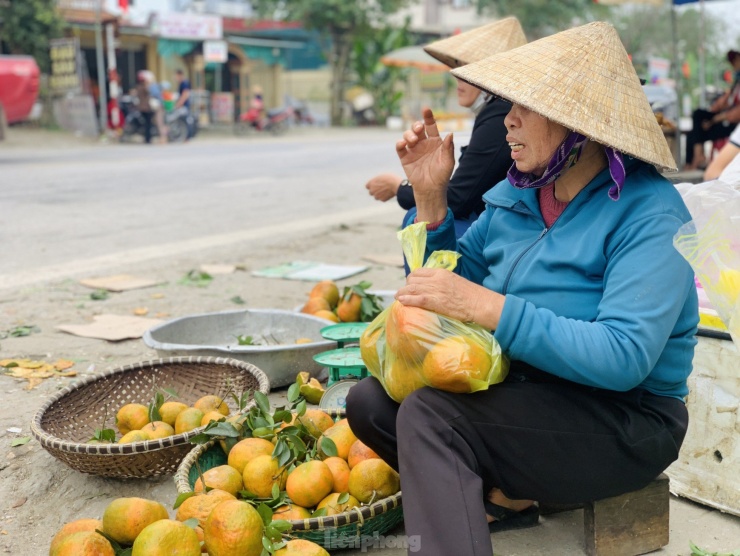 Đặc sản cam bù nhộn nhịp sau Tết, giá cao vẫn đắt khách - 3