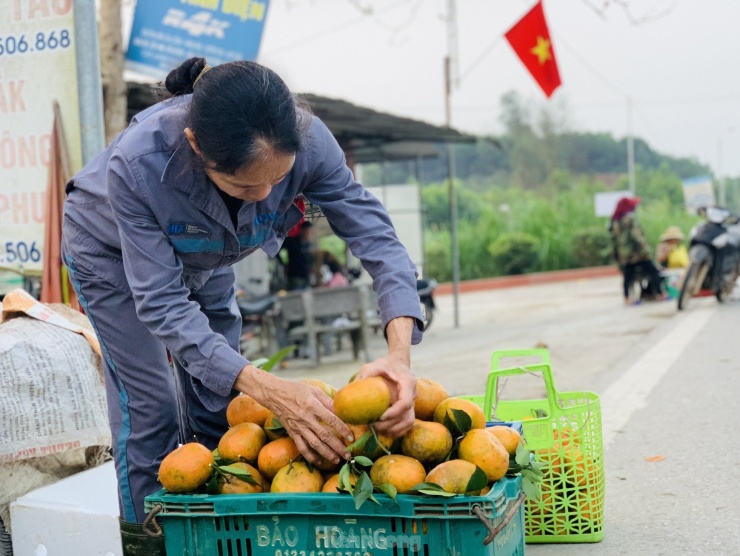 Dọc đường vào thôn 6, xã Sơn Trường, người dân thu hoạch cam ra đây để bán.