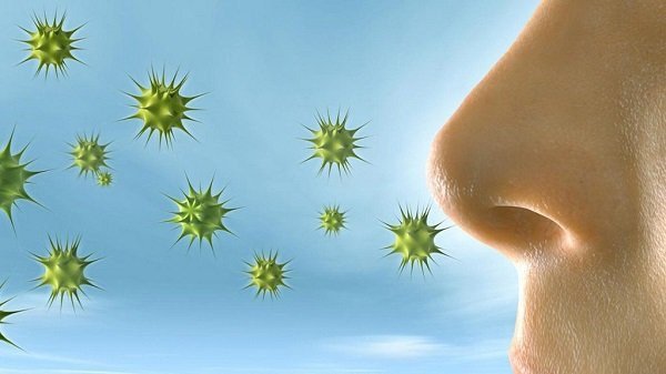 Người mắc bệnh Blastomycosis do hít phải các bào tử nấm trong môi trường. Ảnh minh họa